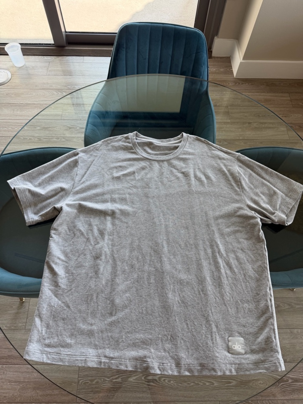 ALO Yoga Men’s Light Gray Double Take Short Sleeve
